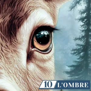 Un battement invisible, Alice Bomte, roman